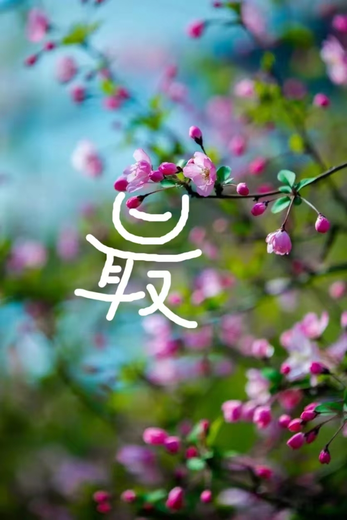 &#20048;&#40060;