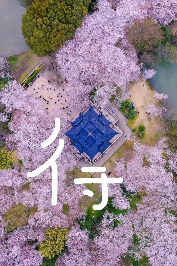 &#20048;&#40060;