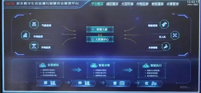 &#20048;&#40060;