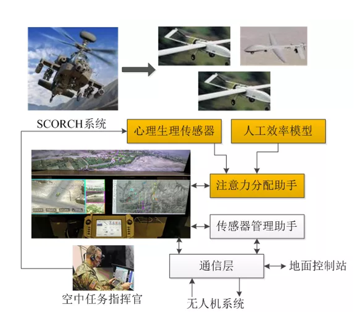 &#20048;&#40060;