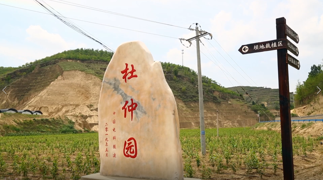 &#20048;&#40060;